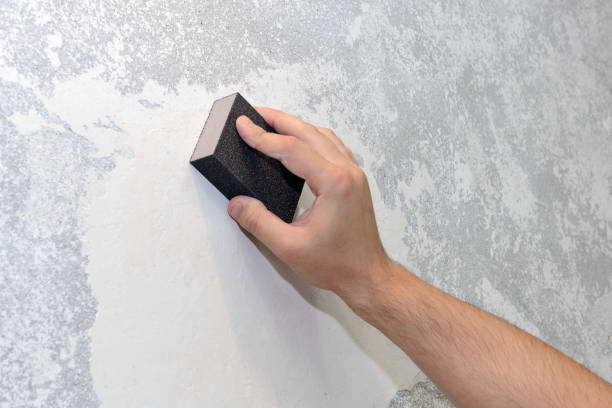 Best Residential Mold Inspection & Testing  in Hanahan, SC
