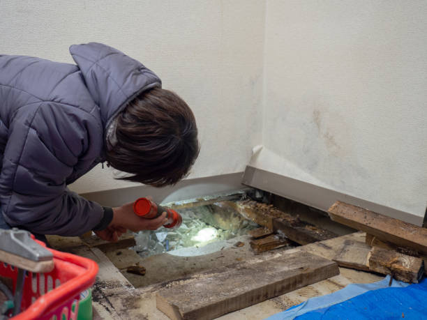 Best Mold Prevention Services  in Hanahan, SC