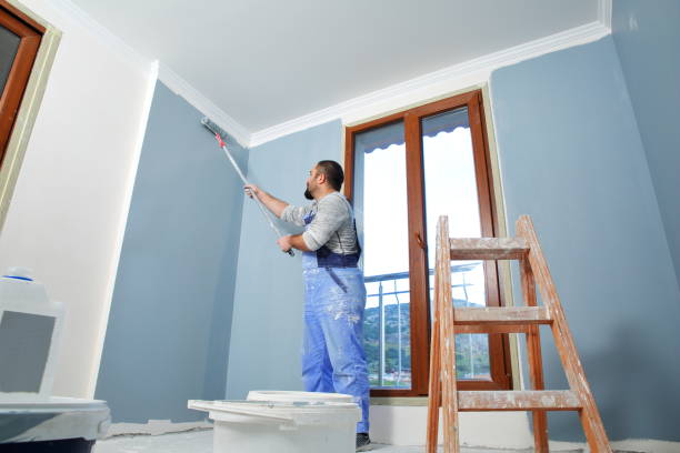 Best Mold Remediation for Rental Properties  in Hanahan, SC