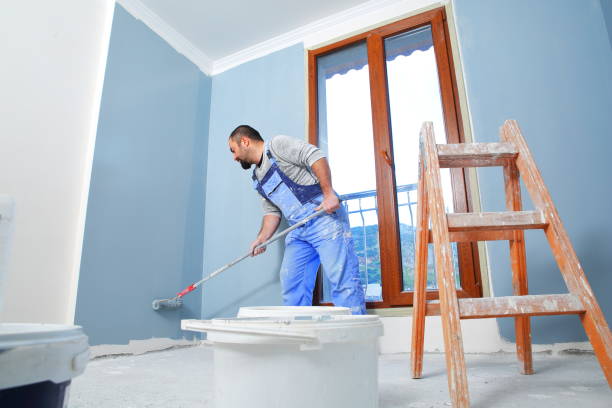 Best Basement Mold Removal  in Hanahan, SC