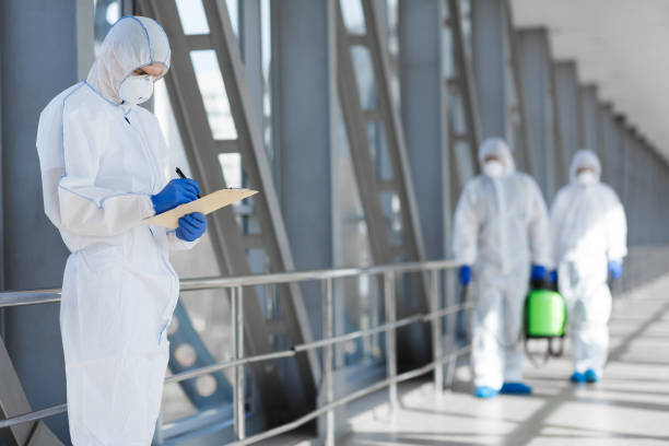 Best Mold-Related Health Consultation  in Hanahan, SC