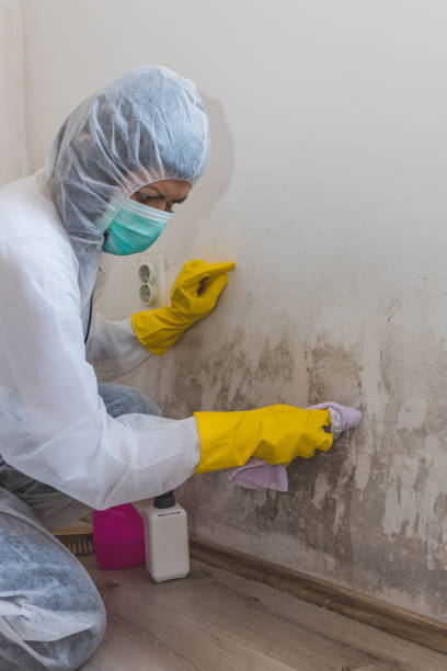 Best Dehumidification Services  in Hanahan, SC