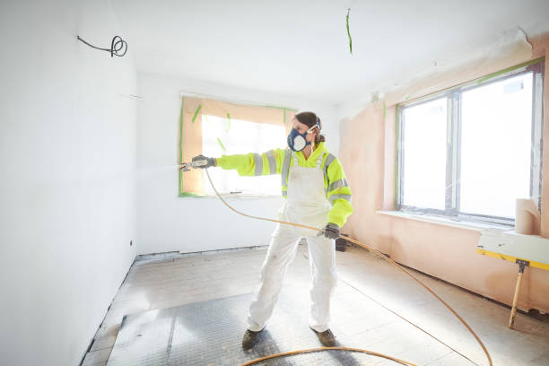 Best Attic Mold Removal  in Hanahan, SC
