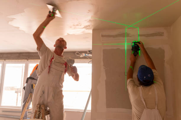 Best Industrial Mold Remediation  in Hanahan, SC