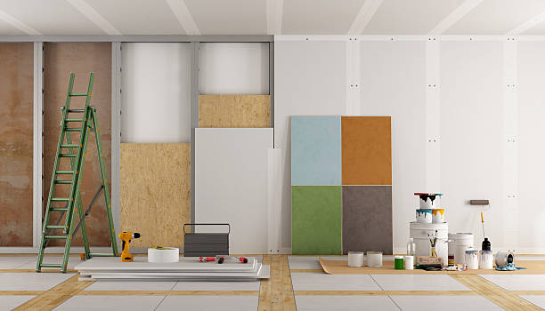 Best Mold Odor Removal Services  in Hanahan, SC