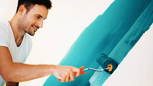 Best Black Mold Removal  in Hanahan, SC