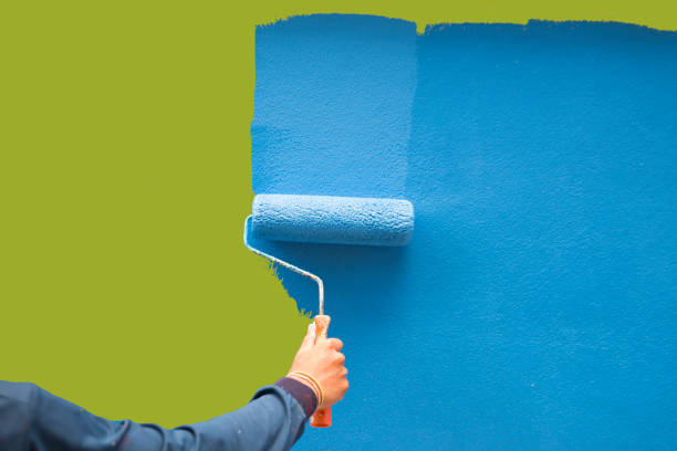 Professional Mold Removal in Hanahan, SC