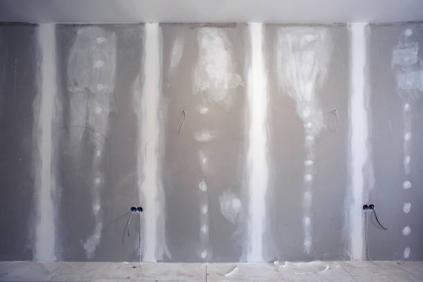 Best Forensic Mold Investigation  in Hanahan, SC