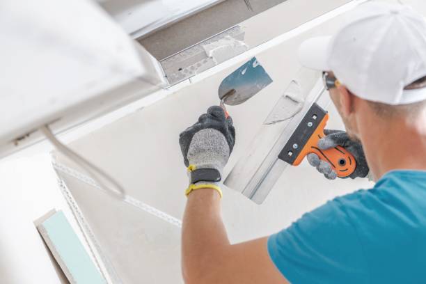 Best Biohazard Mold Removal  in Hanahan, SC